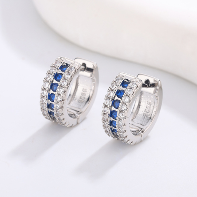Diamond Studded Hoop Earrings