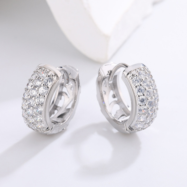 Diamond Studded Hoop Earrings