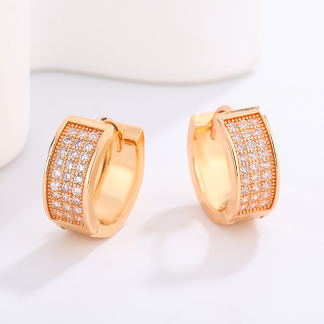 Diamond Studded Hoop Earrings